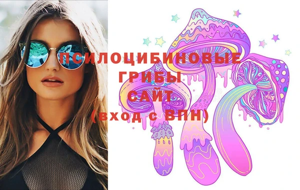 сатива Магадан