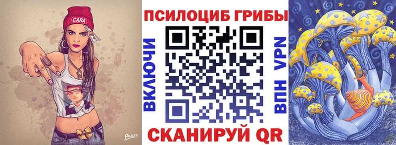 MEGA рабочий сайт  Ярославль  darknet формула  Псилоцибиновые грибы прущие грибы 